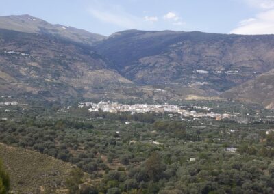 Orgiva