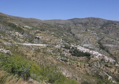 Rubite